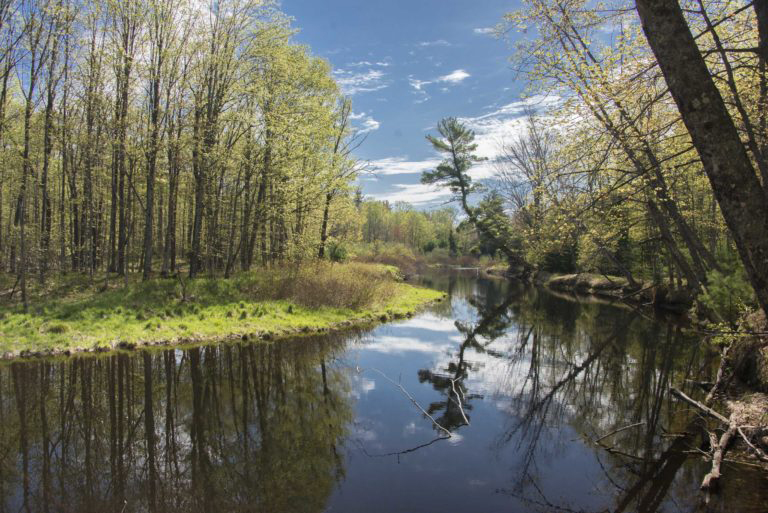 Land conservancies protect areas across state News, Sports, Jobs